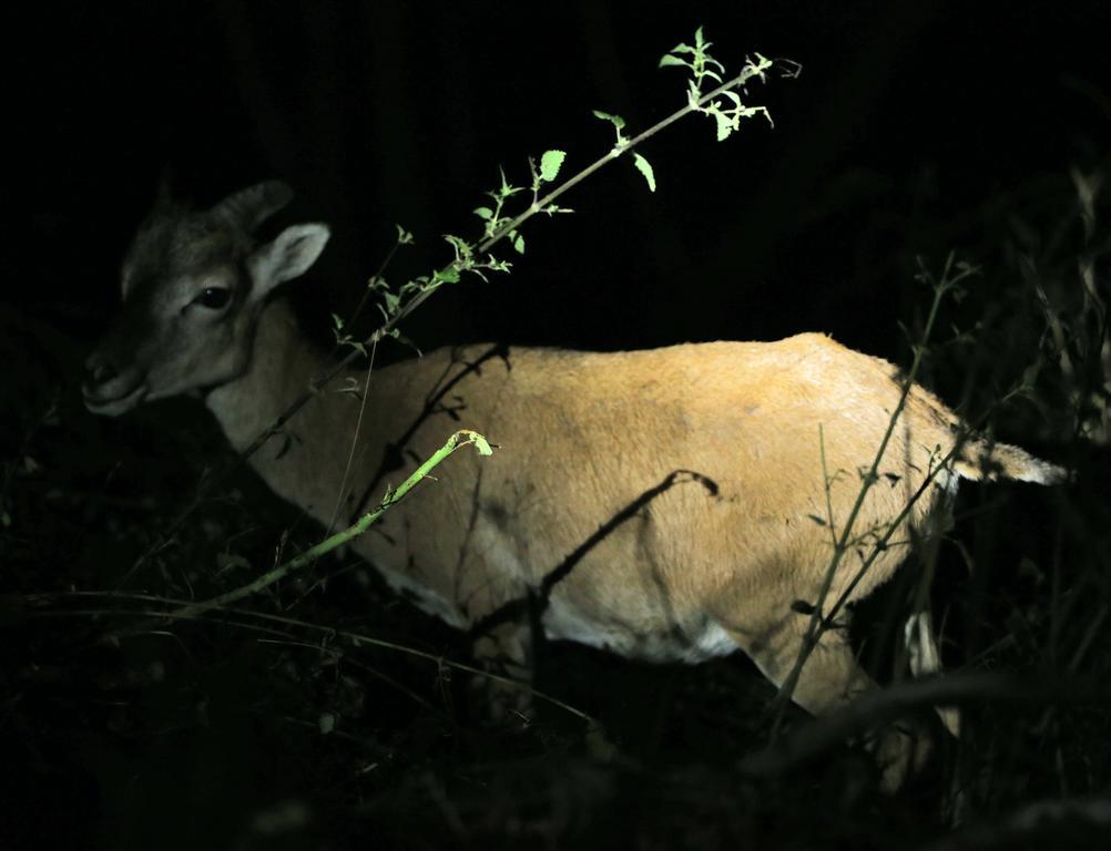 Baita Bondella โกโม ภายนอก รูปภาพ